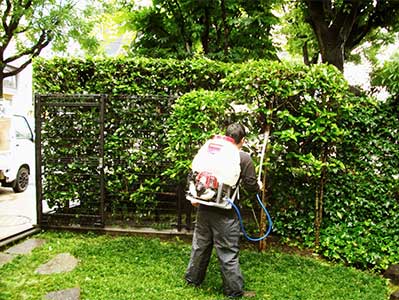 庭木の剪定・伐採サービス（岐阜県広域対応） | 緑癒園